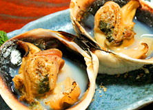 焼物