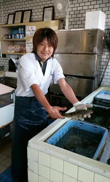 コチ(本館)