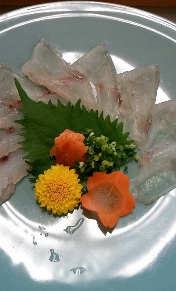 コチ2(本館)